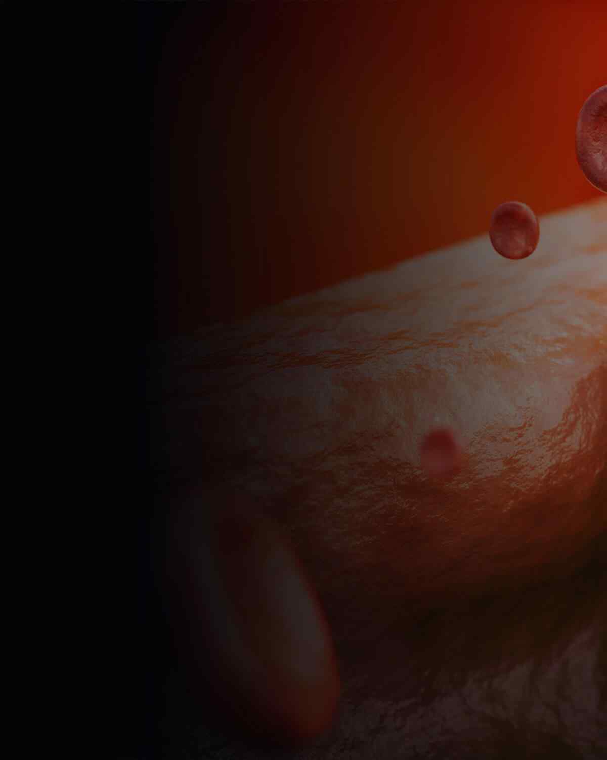 https://drilhanacikgoz.com/wp-content/uploads/2021/08/interactive_image_left.jpg